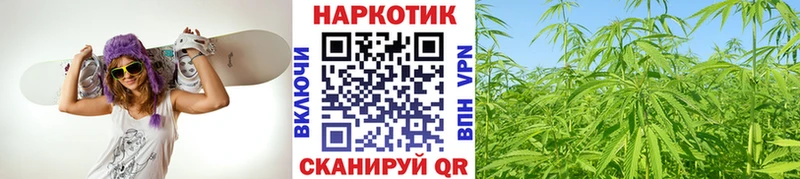 Наркота Заозёрный Кокаин Галлюциногенные грибы Меф ГАШИШ АМФЕТАМИН Каннабис СК