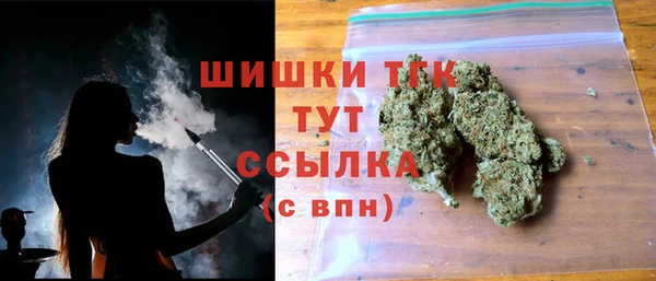 jwh Ельня