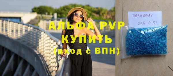 гашик Дмитров