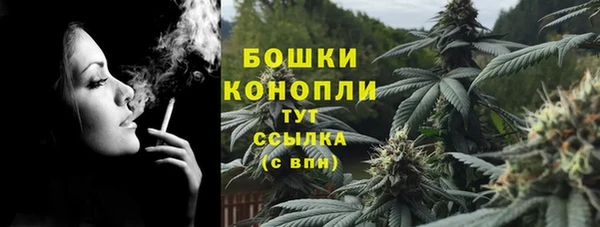 шишки Елизово