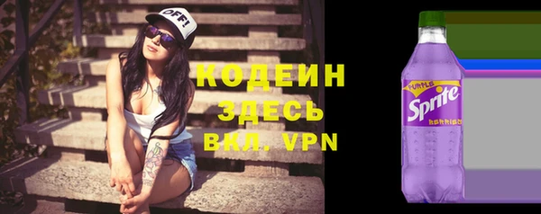 шишки Елизово