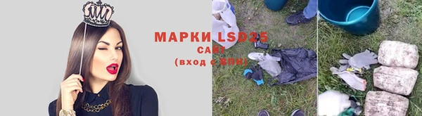 бошки Елабуга