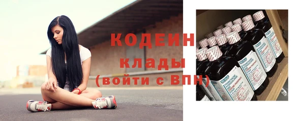 гашик Дмитров