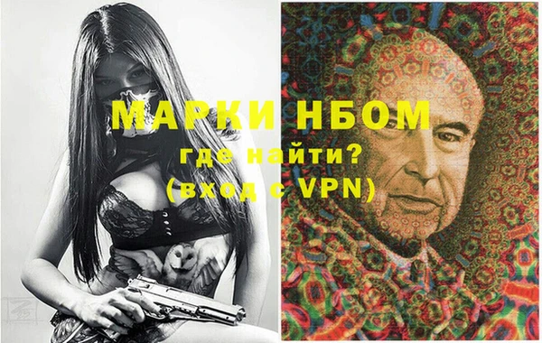 гашик Дмитров