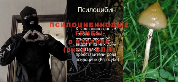 стаф Ханты-Мансийск