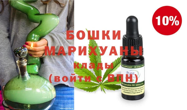 шишки Елизово
