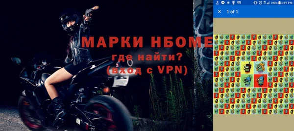 гашик Дмитров