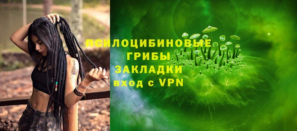 шишки Елизово