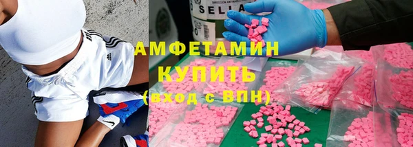 шишки Елизово