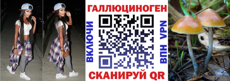 Галлюциногенные грибы мухоморы  Заозёрный 